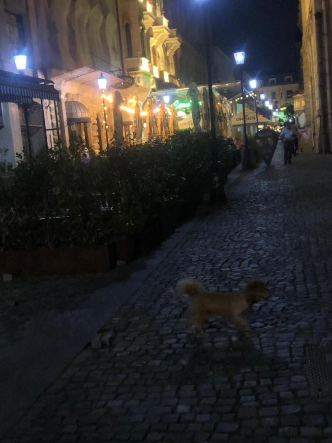 Charming Quiet Studio Coltea Old Town In The Centre Of Bukarest Exterior foto
